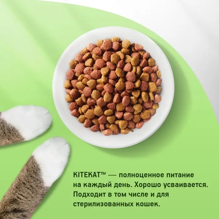 Сухой корм Whiskas для кошек, Телятинка аппетитная, 1.3 кг Сухой корм Whiskas для кошек, Телятинка аппетитная, 1.3 кг