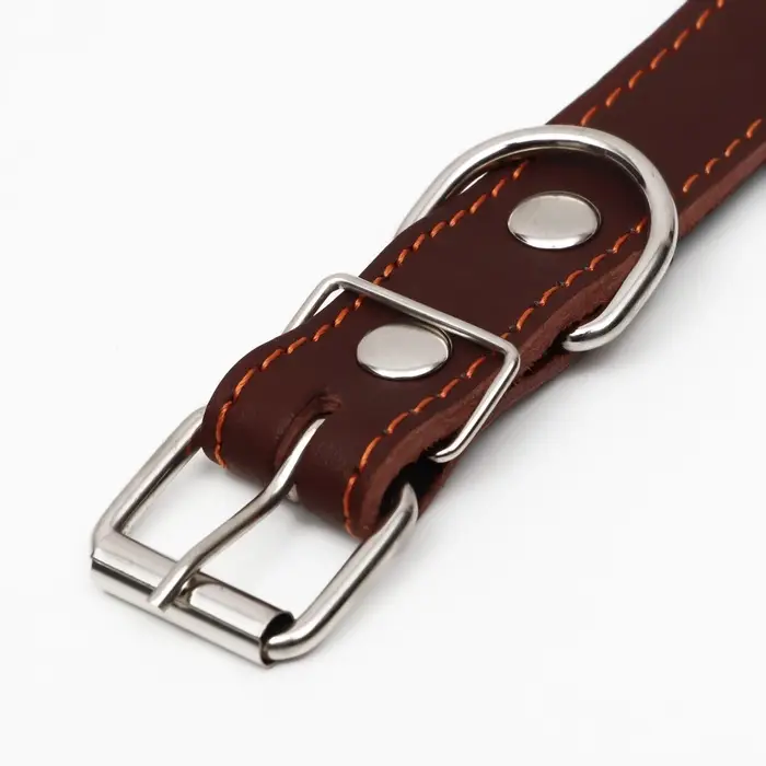 Ошейник кожаный на синтепоне, 65&times;3 см, ОШ 40-55 см, коричневый