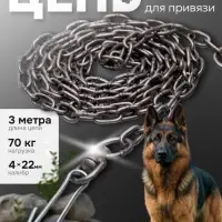 Цепь для привязи собак, 3 м, калибр 4&times;22 мм, черная