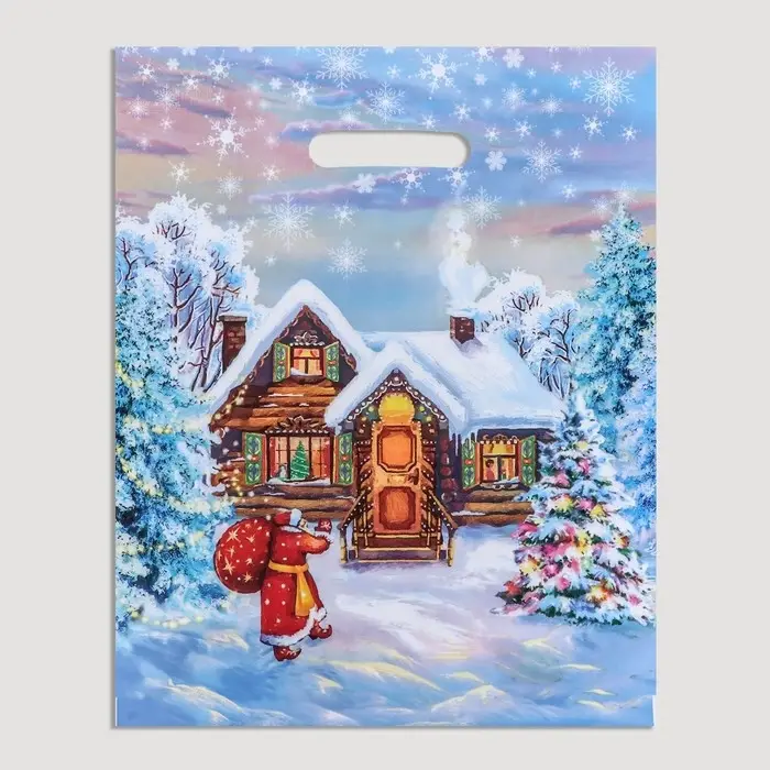 Пакет Пакет "Зимняя сказка", полиэтиленовый с вырубной ручкой, 31х40 см.