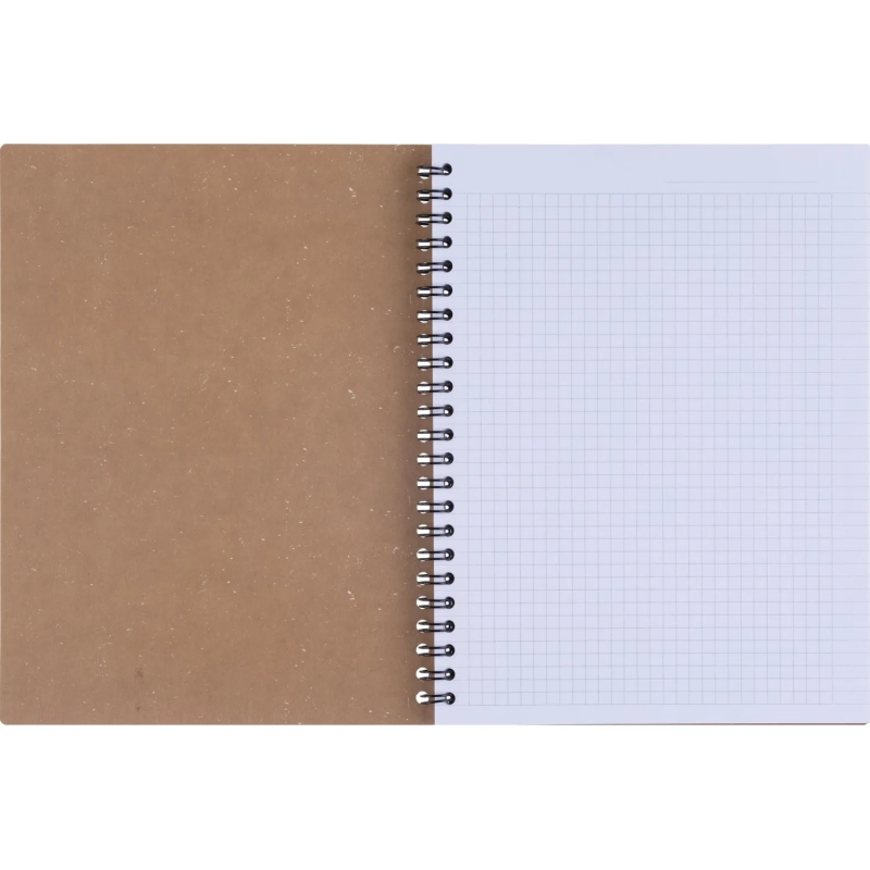 Бизнес-тетрадь, BS, А5, 80л., клетка, спираль. Flora, инжир N4184