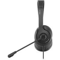 Гарнитура A4Tech Fstyler FH100 черный 2м накладные (FH100 (STONE BLACK))