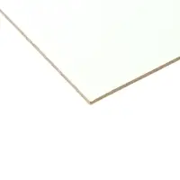 Картон грунтованный 10 х 15 см, толщина 2 мм, 3-х слойный акриловый грунт, Calligrata Картон грунтованный 10 х 15 см, толщина 2 мм, 3-х слойный акриловый грунт, Calligrata