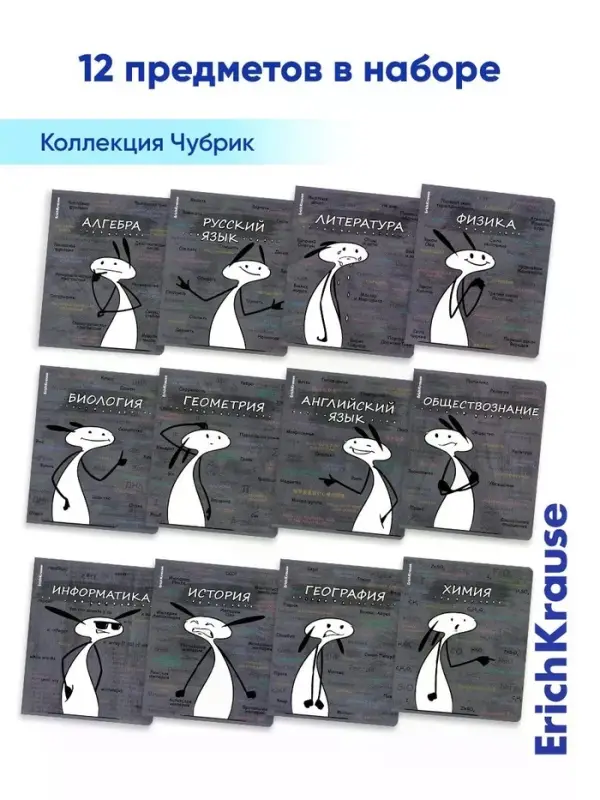 Набор предметных тетрадей ErichKrause &laquo;Чубрик&raquo;, 12 предметов, 48 листов, со справочным материалом, пластиковая обложка