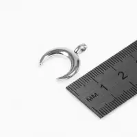 Подвеска &laquo;Луна&raquo;, 1.2&times;1.3 см, d (внутренний)=2 мм, цвет серебро