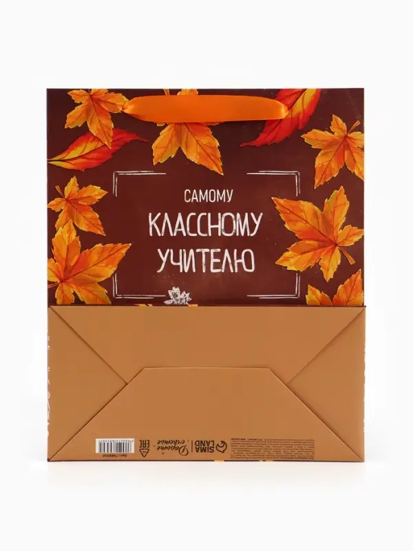 Пакет подарочный ламинированный &laquo;Учитель года&raquo;, ML 27&times;23&times;11.5 см