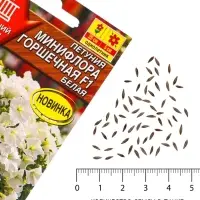 Семена цветов Петуния &laquo;Минифлора Горшечная&raquo; F1, белая, драже, 5 шт.