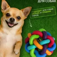 Мяч для собак &laquo;Молекула&raquo;,6 см, с бубенчиком, разноцветный