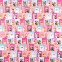 Бумага упаковочная двухсторонняя крафтовая «Коты», 70 х 100 см