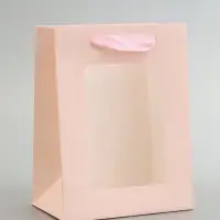 Пакет подарочный, с окном, 20&times;15&times;10 см, розовый