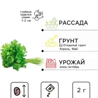Семена Петрушка кудрявая &laquo;Ароматная аллея&raquo;, 2 г, &laquo;Аэлита&raquo;