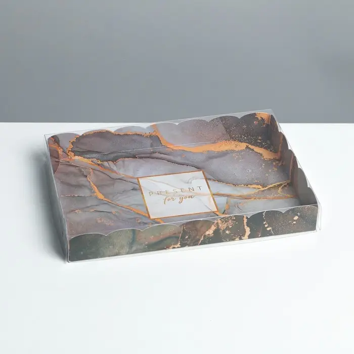 Коробка для печенья, кондитерская упаковка с пластиковой крышкой, «Мрамор», 22 х 15 х 3 см