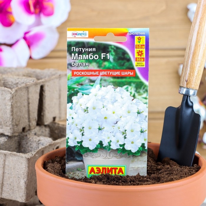 Семена  Петуния  Семена  Петуния "Мамбо" F1 белая многоцветковая, 7 шт