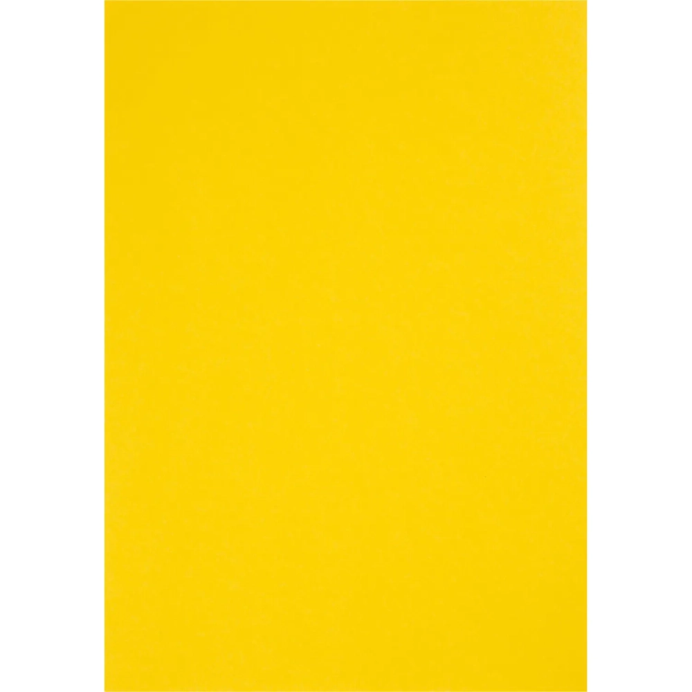 Бумага цветная Attache Multicolor А4,80г(10цв.интенсив,пастель по 10л)100л