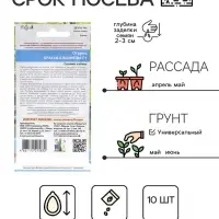 Семена Огурец "Братья близнецы", 10 шт