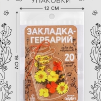 Эврики Набор для творчества Закладка-гербарий, 20 основ
