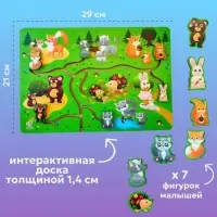 Лабиринт &laquo;Чей малыш?&raquo;