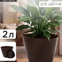 Горшок для цветов &laquo;Элеганс&raquo;, 2 л, d=17.3 см, h=15 см, пластиковый, с поддоном, цвет шоколад