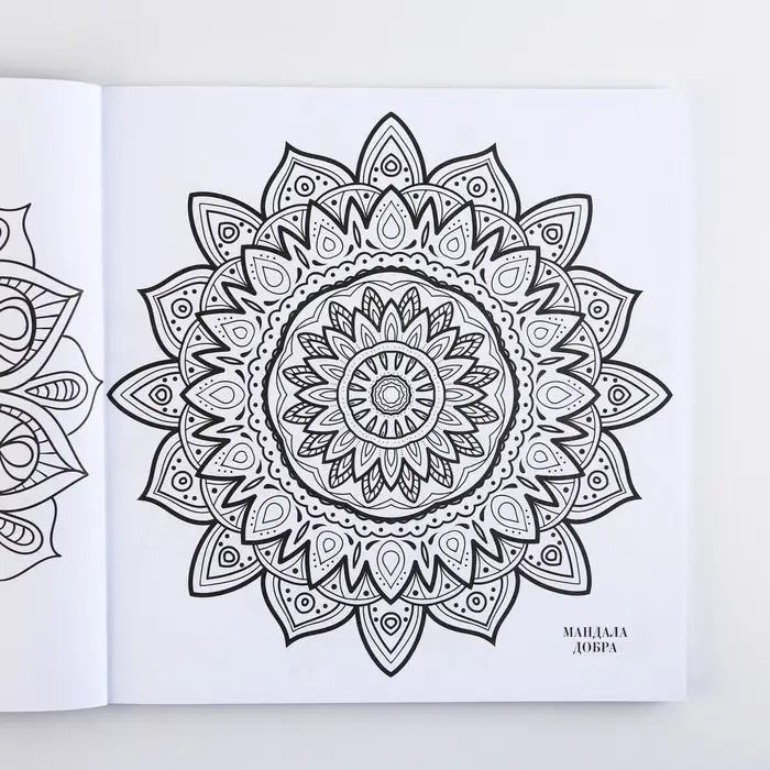 Раскраска-антистресс "Завораживающая мандала", 96 стр. 25х25 см.