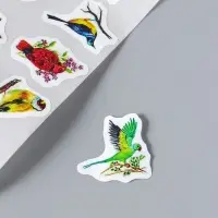 Наклейки бумага &laquo;Экзотические птицы&raquo;, d=2.5 см 500 шт. в рулоне 3&times;6.5&times;6.5 см