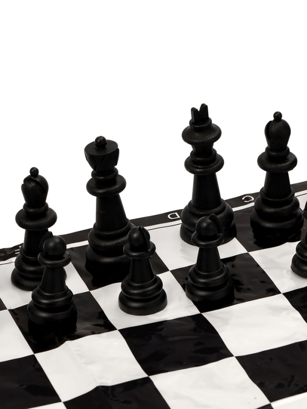 Шахматы 40 х 40 см, король h-5.6 см, d-2.3 см, фигуры пластик Шахматы 40 х 40 см, король h-5.6 см, d-2.3 см, фигуры пластик