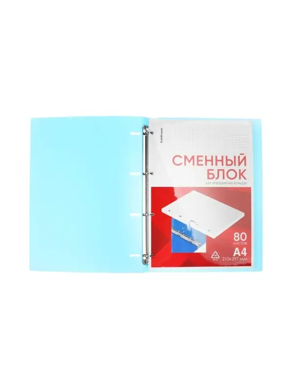 Тетрадь на кольцах ErichKrause. Pastel А4, 80 листов, в клетку, пластиковая обложка, блок офсет, 100% белизна, МИКС