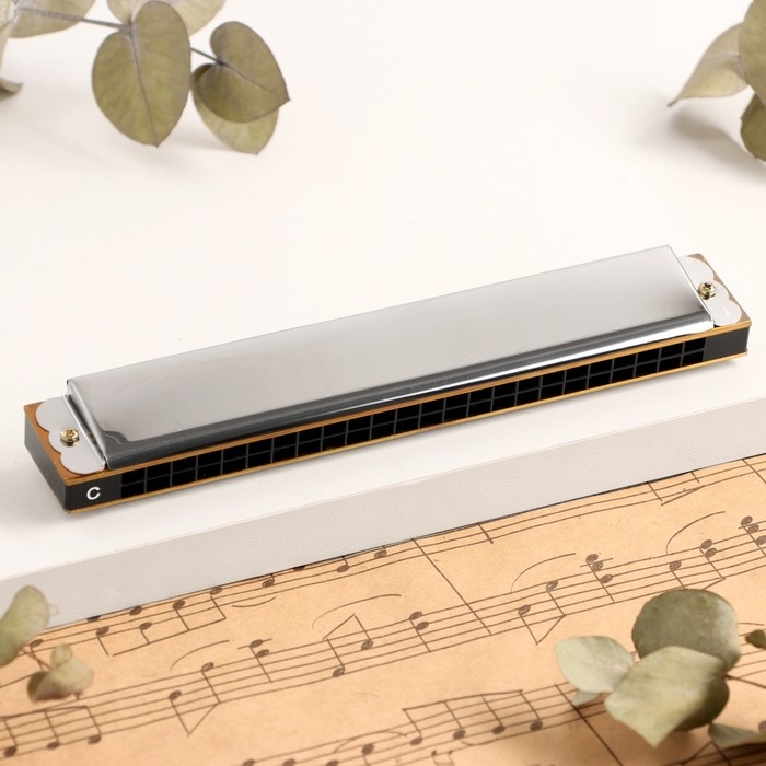 Губная гармошка Music Life T2401 тремоло, с футляром Губная гармошка Music Life T2401 тремоло, с футляром