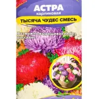 Семена цветов Астра &laquo;Тысяча чудес&raquo;, карликовая, смесь, 0.15 г, &laquo;Семена Алтая&raquo;