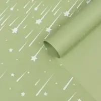 Пленка для цветов, "Звездопад", нежно-зелёная, 57х57 см