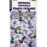 Семена цветов Вербена "Кварц Сильвер",  5 шт