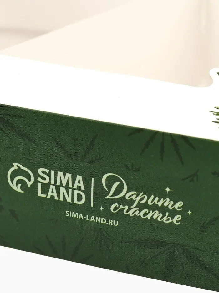 Коробка складная &laquo;С Новым годом!&raquo;, еловые веточки, 20&times;23&times;4 см