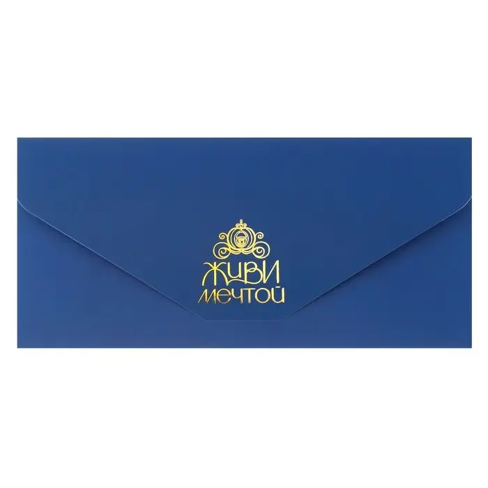 Конверт для денег, софт тач, 19 х 9 см &laquo;Живи мечтой&raquo;, Принцессы