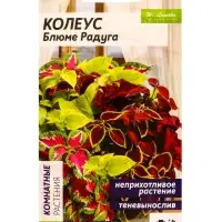 Набор семян цветов Колеус