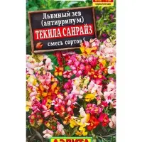 Семена цветов Львиный зев Текила санрайз, смесь окрасок , Ц/П,0,1 г Семена цветов Львиный зев Текила санрайз, смесь окрасок , Ц/П,0,1 г