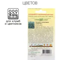 Семена цветов Овсяница "Синичка", ц/п, декоративная , 0,1 г Семена цветов Овсяница "Синичка", ц/п, декоративная , 0,1 г