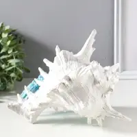 Фигура полистоун &laquo;Коралловый риф. Краб в ракушке&raquo;, 23.5&times;23.5&times;17.8 см