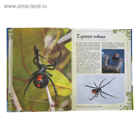 Большая книга о животных. 1001 фотография. Ермакович Д. И.