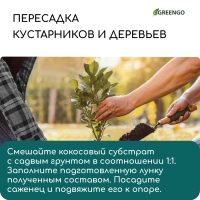 Субстрат кокосовый в таблетках, 4,5 л, d = 10 см, набор 5 шт., без оболочки, Greengo
