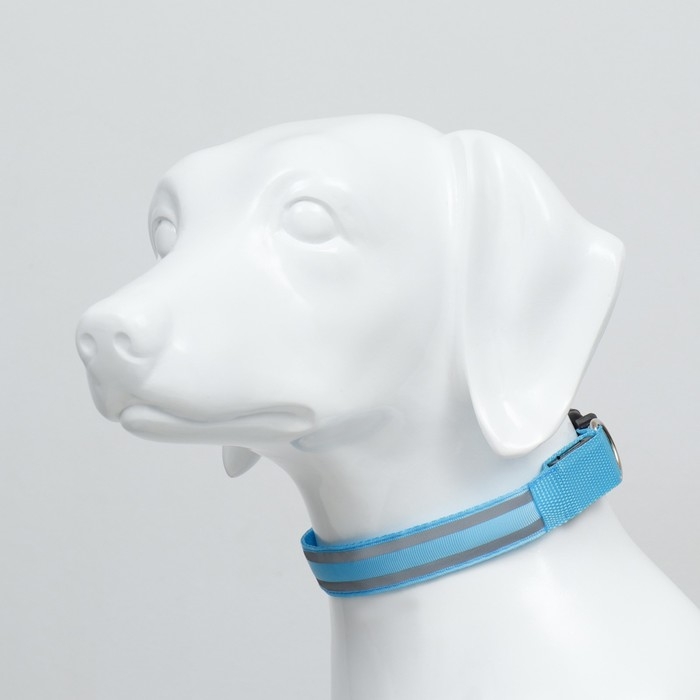 Ошейник с подсветкой Двойная полоса размер M, ОШ 40-48 х 2,5 см, 3 режима свечения голубой 977224 Ошейник с подсветкой Двойная полоса размер M, ОШ 40-48 х 2,5 см, 3 режима свечения голубой 977224