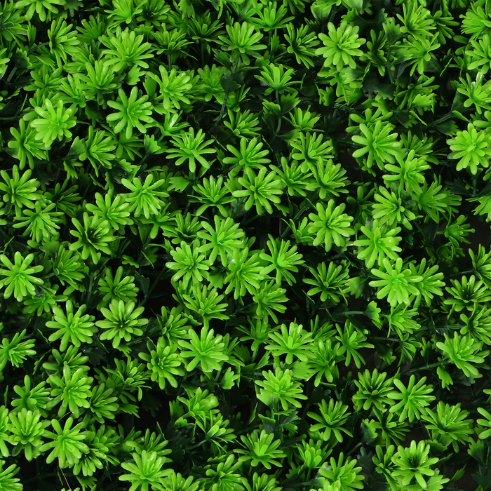 Декоративная панель, 50 ×50 см, «Высокий мох», Greengo Декоративная панель, 50 ×50 см, «Высокий мох», Greengo