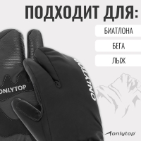 Перчатки лыжные лобстеры ONLYTOP модель 2089, р. L