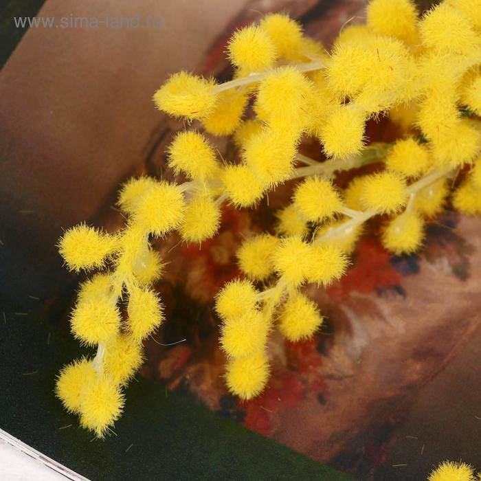 Цветы искусственные  Цветы искусственные "Мимоза" 65 см, жёлтый