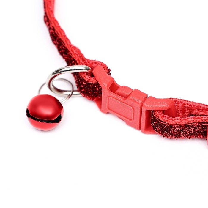 Ошейник двухслойный с фастексом Ошейник двухслойный с фастексом "Гламур" 30 х 1 см, красный