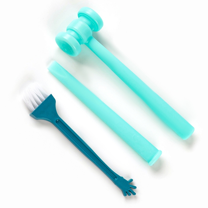 Набор для раскопок «Морской мир», гипсовая ракушка, инструменты, 5+ Набор для раскопок «Морской мир», гипсовая ракушка, инструменты, 5+