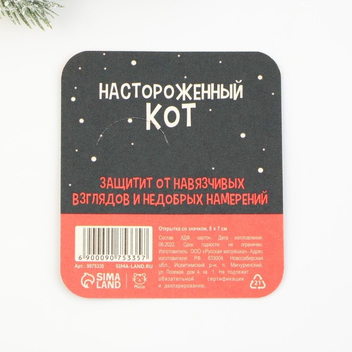 Значок новогодний  &laquo;Новый год: Талисман от сглаза&raquo;, 4,7 х 4,5 см