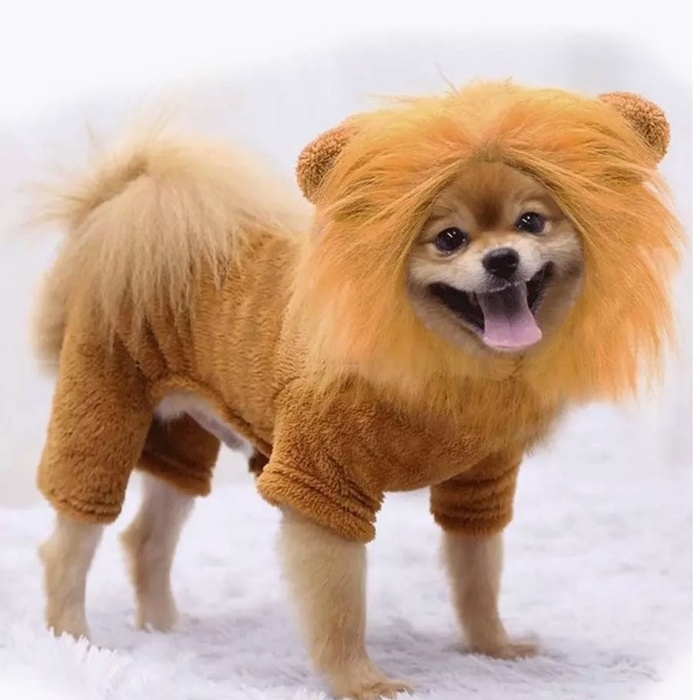 Комбинезон для животных  Комбинезон для животных "Лев", размер L (ДС 35, ОГ 45, ОШ 32 см),коричневый