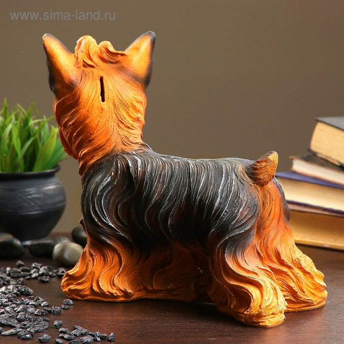 Копилка Копилка "Йорк" 28х32х13см