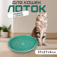 Туалет с сеткой "Киса", 37 х 27 х 4 см, зелёный