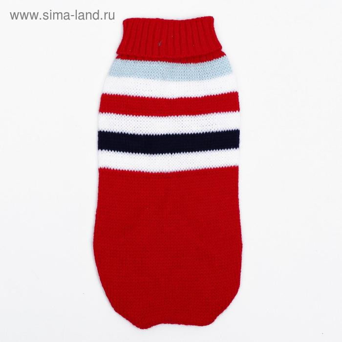 Свитер, размер 12 (ДС 36-51, ОШ 18-33, ОГ 32-47 см), микс расцветок Свитер, размер 12 (ДС 36-51, ОШ 18-33, ОГ 32-47 см), микс расцветок