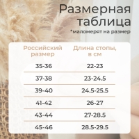 Тапочки мужские размер 40-41, синий